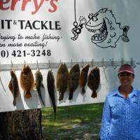 St.Marks flounder