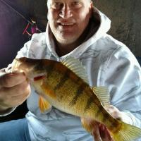 Ice Fishing Perch