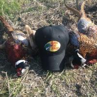 Hunting in Style