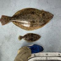 Nice catch