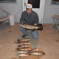 River Suckers