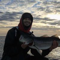 Nice Striper