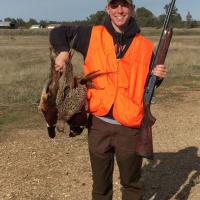 Upland Birds
