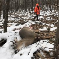 Buck Tag Filled