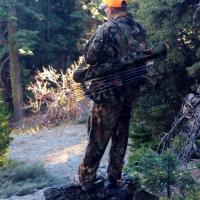 Gone Hunting