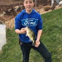 Chris's Bass