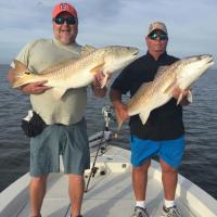 Red Drum