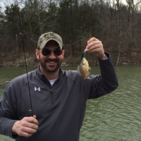 The Fish Whisper