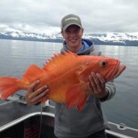 Red Snapper