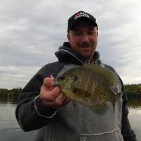 Big Fall Blue Gill
