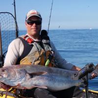 Fishing and Diving