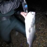 Bass weigh-in