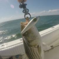 Fishing with a Spook
