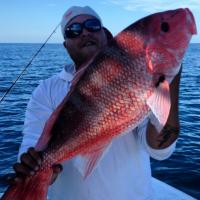 Nice Red