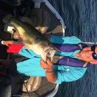 Brent Day's Catch on Stockton Lake
