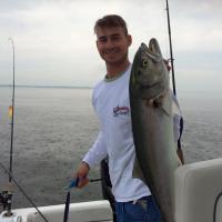 Saltwater Bluefish